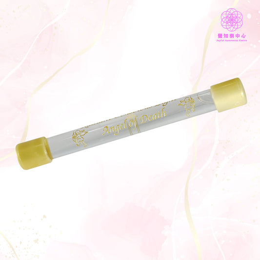 C6 - Angel of Death 終結天使